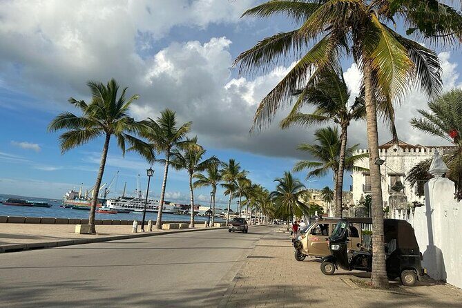 Zanzibar Stone Town Highlight walking tour - Old Fort Stops for Views and Zanzibar Coast Context