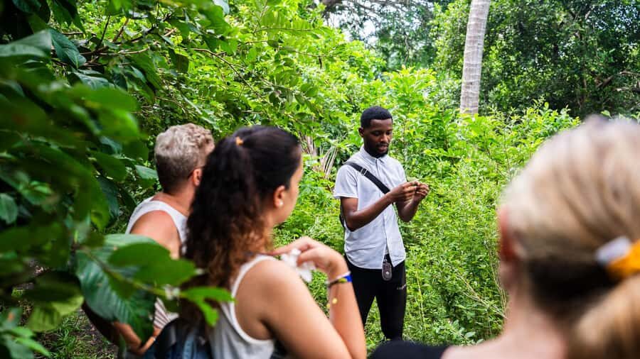 Zanzibar: Stone Town, History and Jozani Forest Guided Tour - How this Stone Town and Jozani combo saves you time