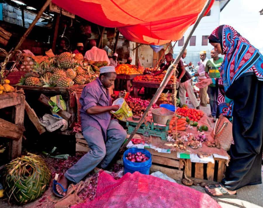 Zanzibar: Stone Town History Walking Tour with a Local Guide - Pickup, Timing, and How the Tour Stays Manageable
