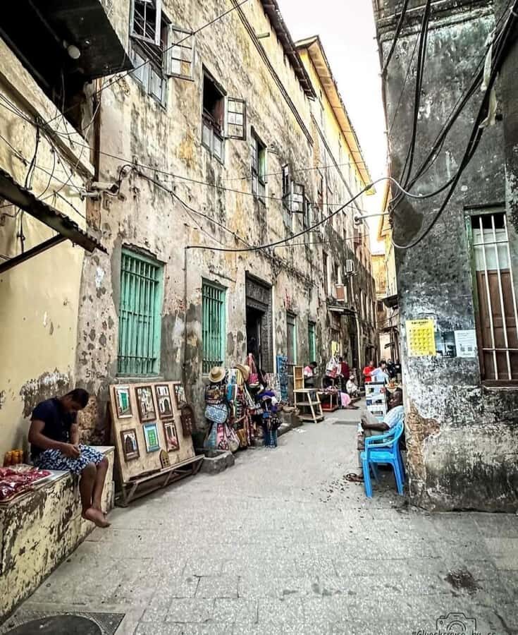 Zanzibar: Stone town Insights & Jozani forest Exploration - Why This 6-Hour Combo Works: Forest Wildlife and Stone Town on Foot