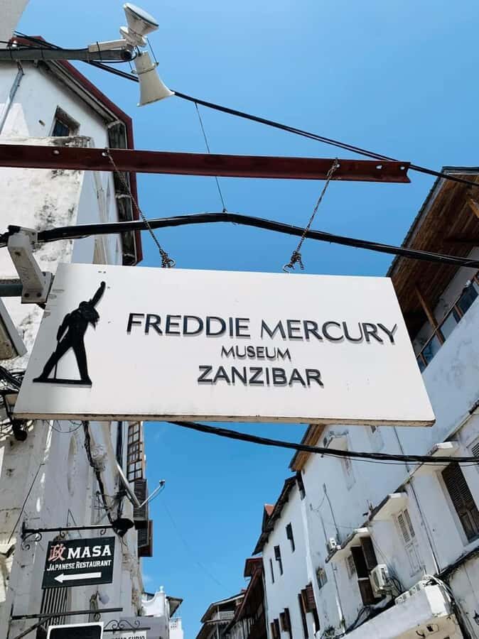 Zanzibar: Stone town Insights & Jozani forest Exploration - Jozani Forest: Red Colobus Monkey Encounters and Other Forest Finds