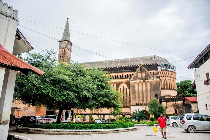 Zanzibar Stone Town Private Walking Tour - Sultan’s Palace Museum and the Old Dispensary: Power, Purpose, and Daily Life