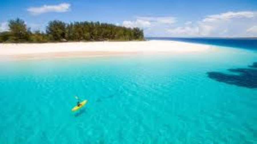 Zanzibar: Stone Town Walking Tour with Freddie Mercury … - Darajani Market stops: real life, including the fish-market reality