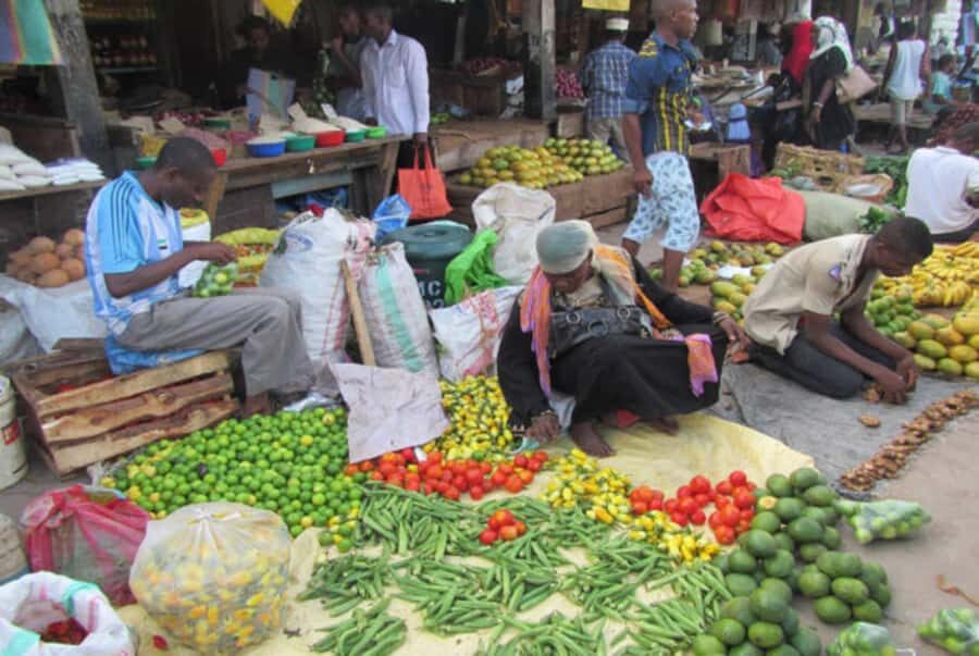 Zanzibar: Stone Town Walking Tour With Hotel Pickup - The day’s rhythm: van transfer plus a walk you can actually enjoy