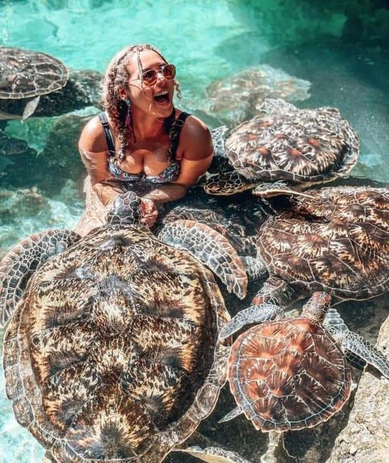 Zanzibar: Swim with turtles at Nungwi - Price and Value: What $75 Gets You for 2 Hours