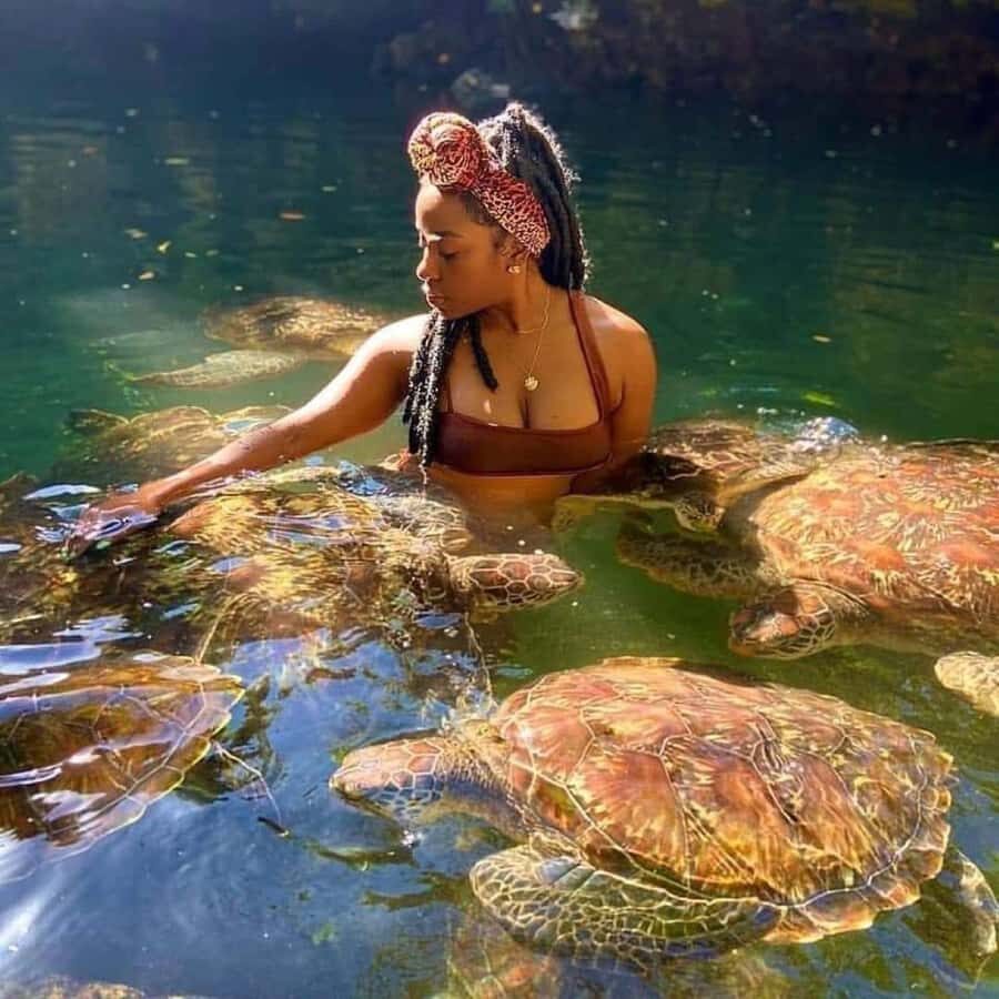 Zanzibar: Swim with turtles at Nungwi - Quick Reality Checks Before You Go