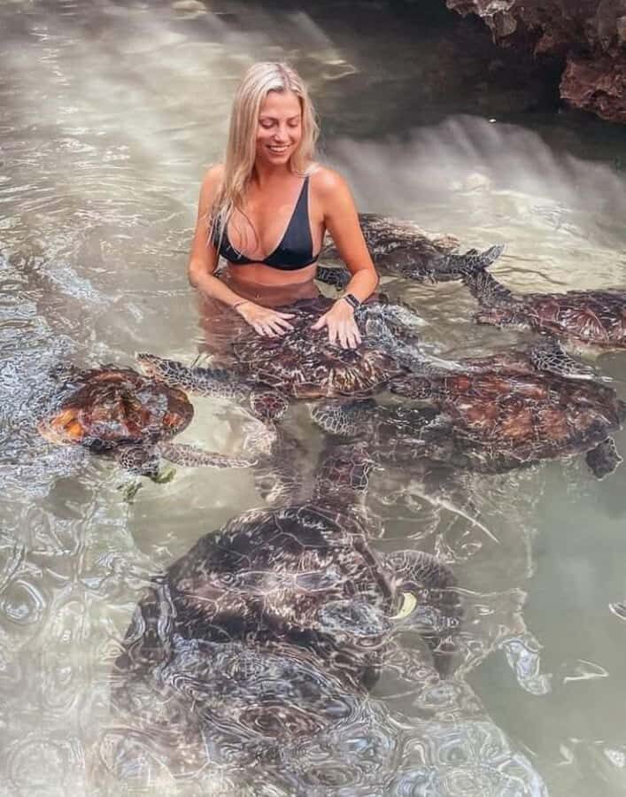 Zanzibar: Swim with turtles at Nungwi - Should You Book Zanzibar: Swim With Turtles at Nungwi?