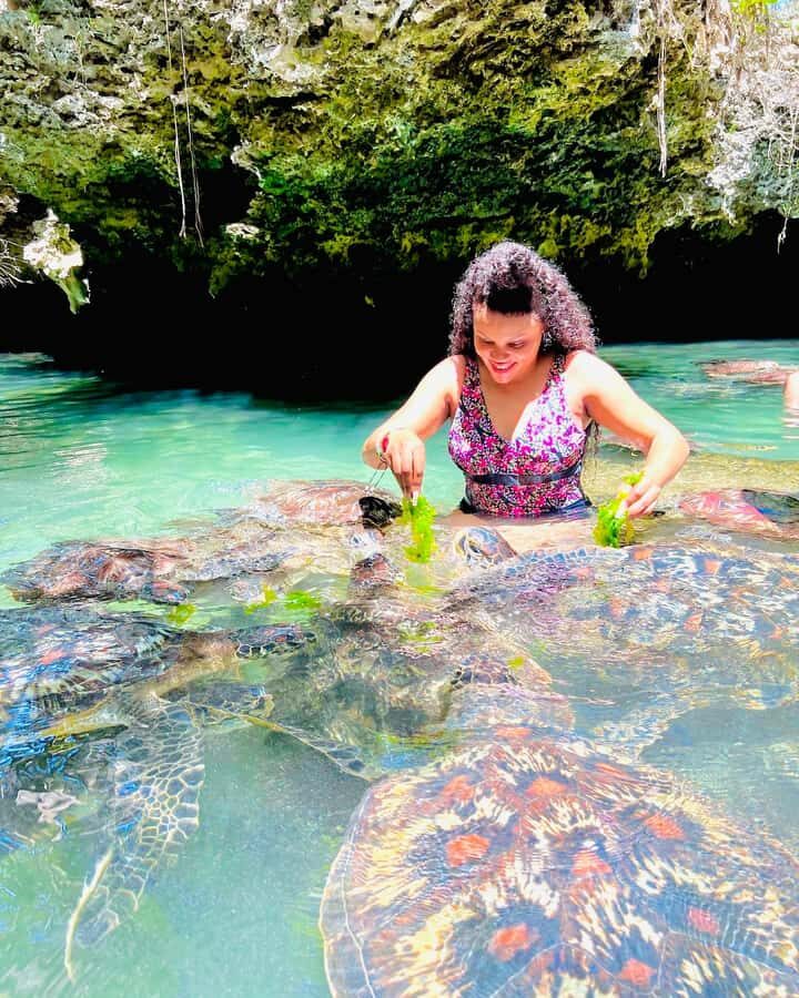 Zanzibar: Swim with Turtles Sanctuary Tour - Key things to know before you go