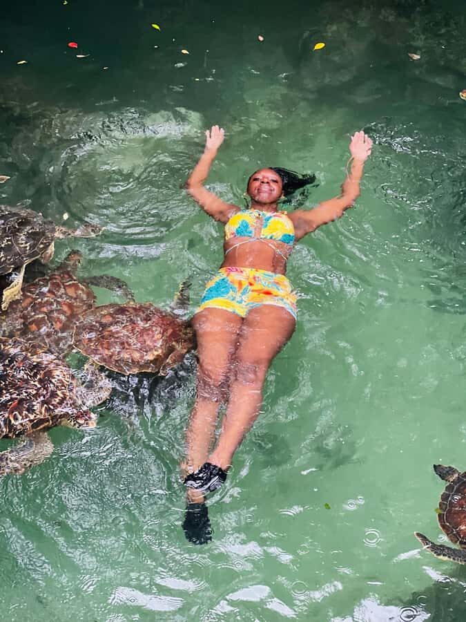 Zanzibar: Swim with Turtles Sanctuary Tour - What you’ll learn during the conservation talk
