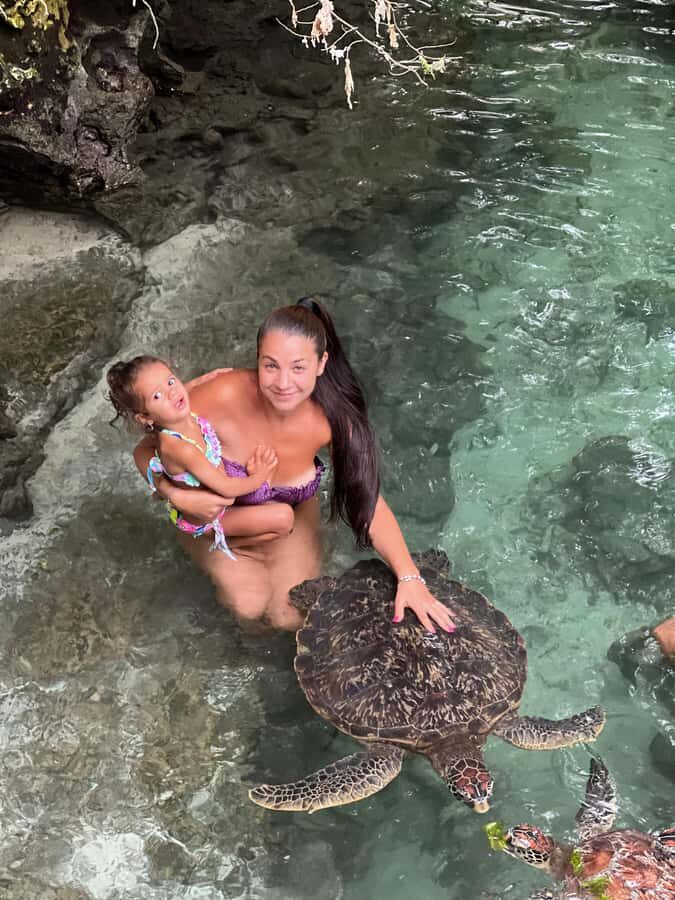 Zanzibar: Swim with Turtles Sanctuary Tour - Making it work in your Zanzibar day plan