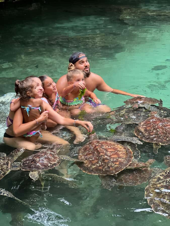 Zanzibar: Swim with Turtles Sanctuary Tour - Checking in at Baraka Aquarium Bungalows in Nungwi