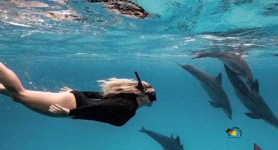 Zanzibar: Swimming & Snorkeling at Mnemba Atoll with Fruits - Key points at a glance
