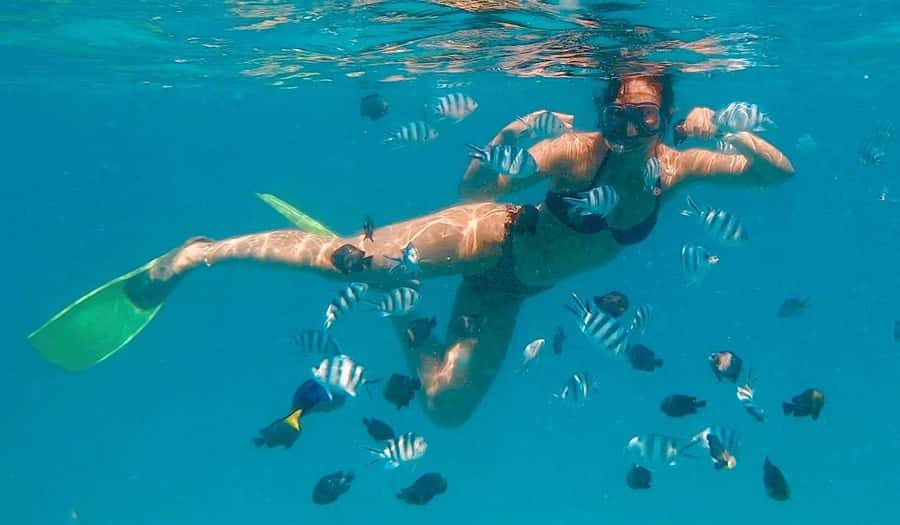 Zanzibar Swimming with Dolphins and snorkeling - Snorkeling at Kizimkazi Mkunguni: coral reef time in the middle of the swim