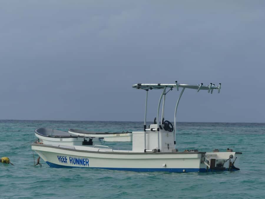 Zanzibar: Swimming with Dolphins and Snorkeling Private Tour - Pickup to Sea: How the Matemwe or Kizimkazi Start Shapes Your Day