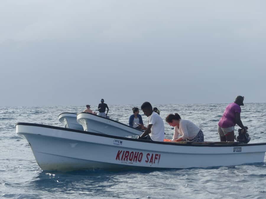 Zanzibar: Swimming with Dolphins and Snorkeling Private Tour - The Boat Ride Experience: Pace, Captain Work, and the Human Touch