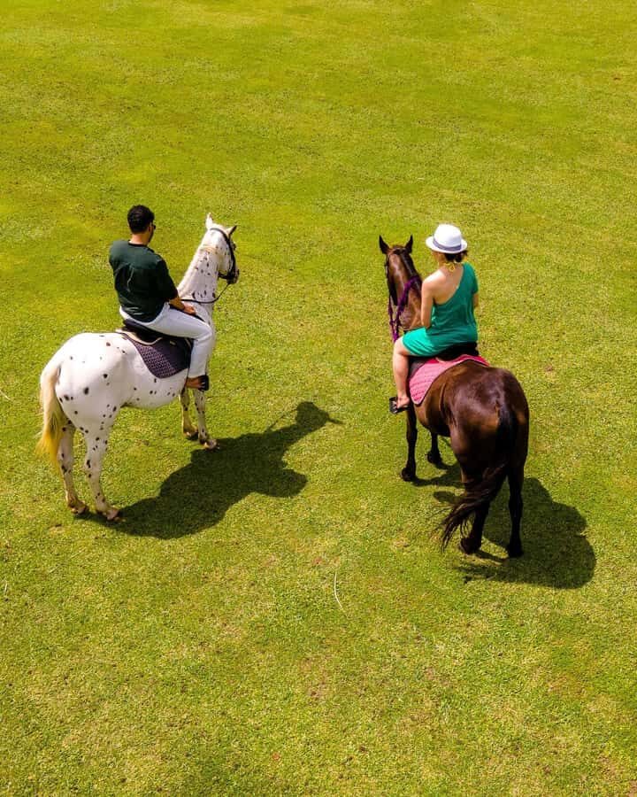 Zanzibar: Swimming With Horse and Clear Kayaking Tour - Quick reasons this tour makes sense