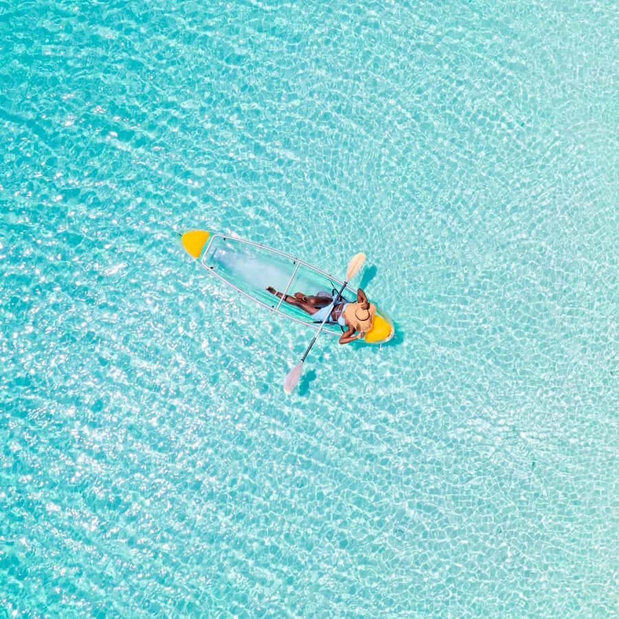 Zanzibar: Swimming With Horse and Clear Kayaking Tour - Horse swimming at Pwani Mchangani or Nungwi: what you’re really signing up for