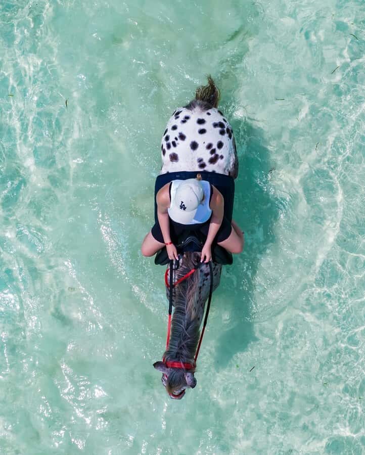 Zanzibar: Swimming With Horse and Clear Kayaking Tour - FAQ