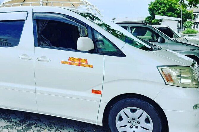 Zanzibar Tours & Taxi Services - Zanzibar International Airport Pickup: Fewer Headaches, Faster Exit