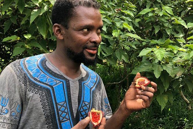 Zanzibar's Finest: Private Tour of Top 5 Attractions with Lunch - Tangawizi Spice Farm: Seeing Spices Grow in Their Natural Habitat